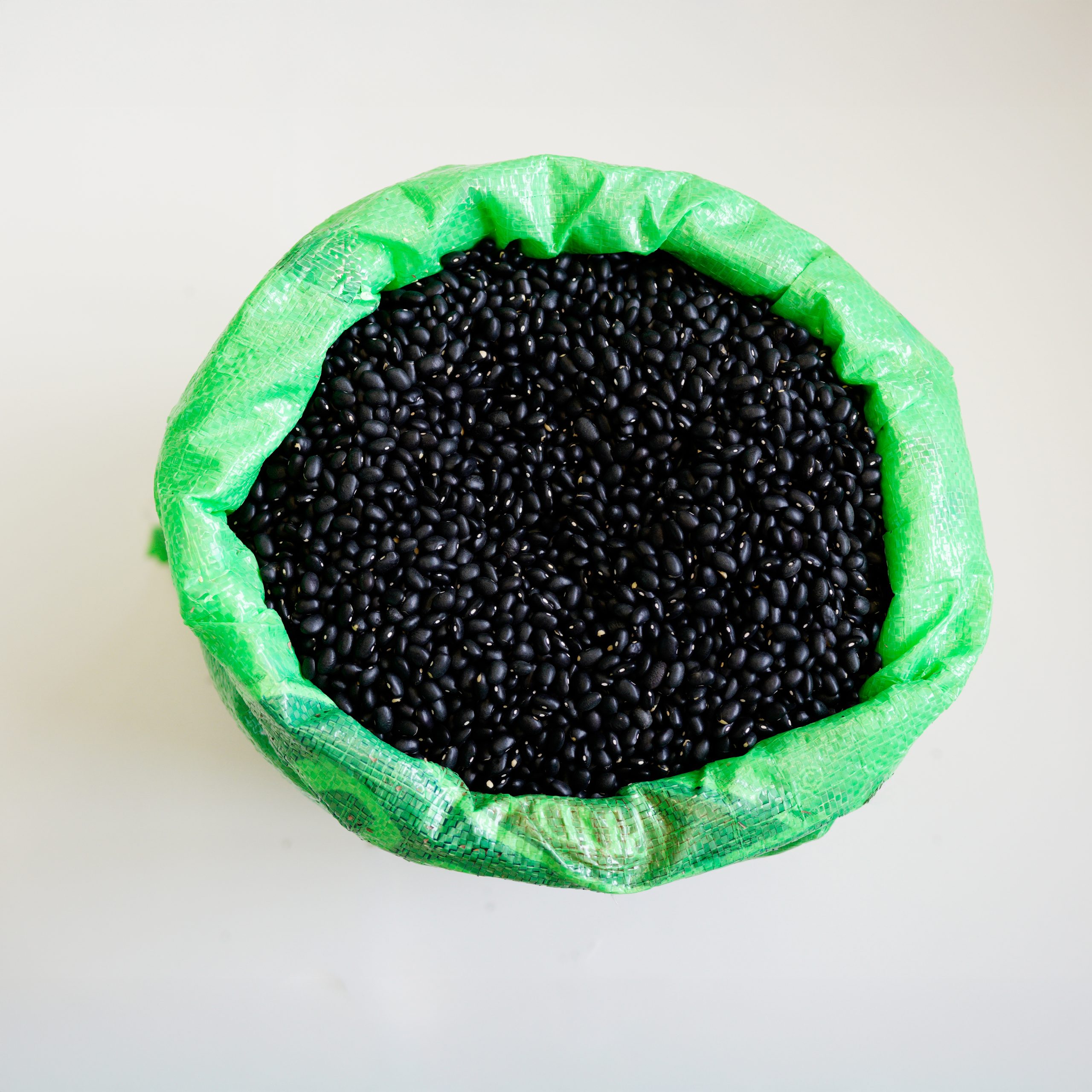 Frijol negro americano